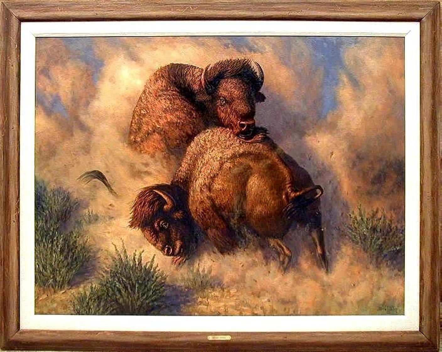 "Desert Storm", buffalo fight, oils