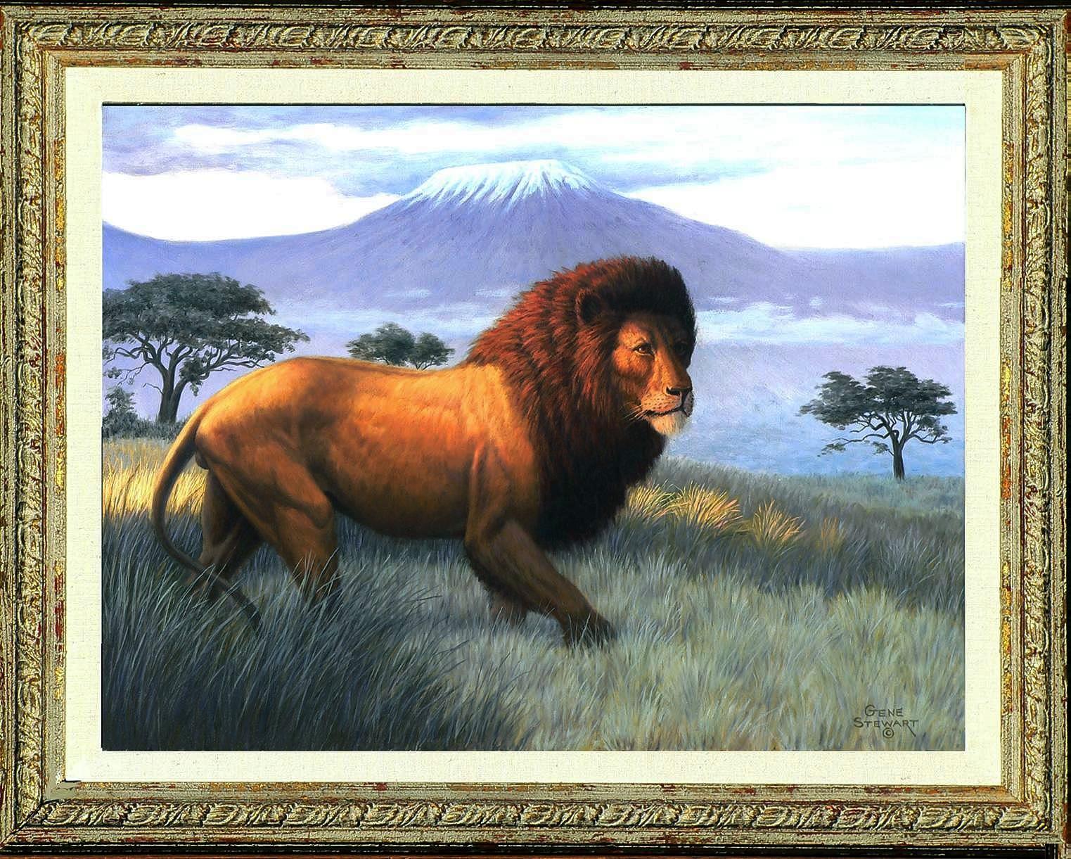"Simba", oil painting